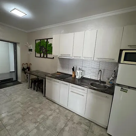 Mint солнечное закарпатье 公寓 *