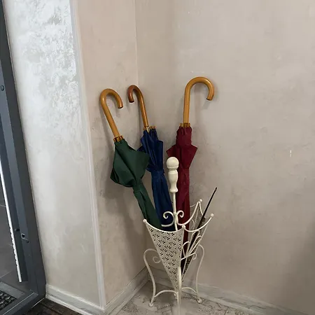 Mint солнечное закарпатье * 波利亚纳