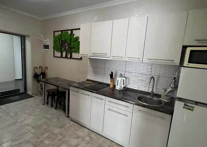 Mint солнечное закарпатье Apartamento *